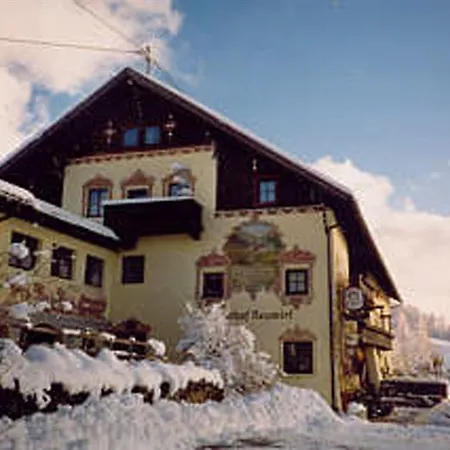 Neuwirt Ellbogen