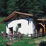 Neuwirt Ellbögen